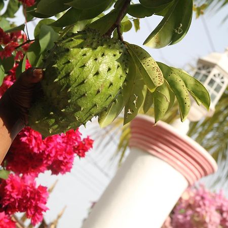 Sweetsop Jamaica Villa And Tours Montego Bay Luaran gambar