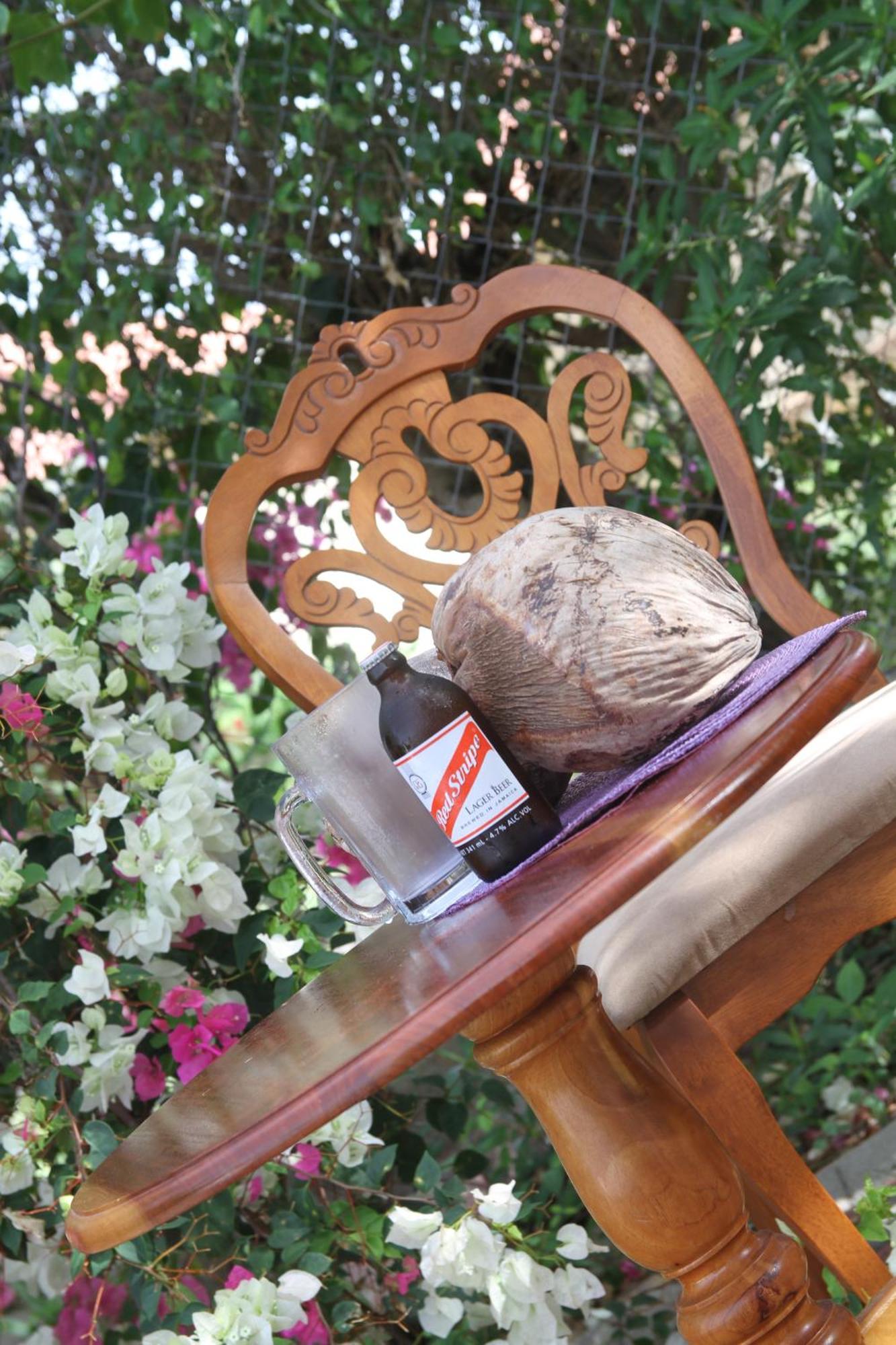 Sweetsop Jamaica Villa And Tours Montego Bay Luaran gambar